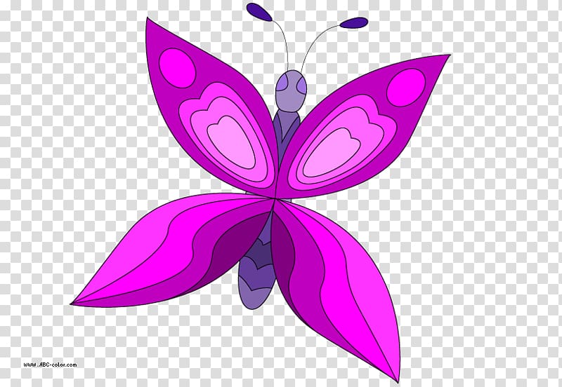 Butterfly Drawing Raster graphics Bitmap , butterfly transparent background PNG clipart