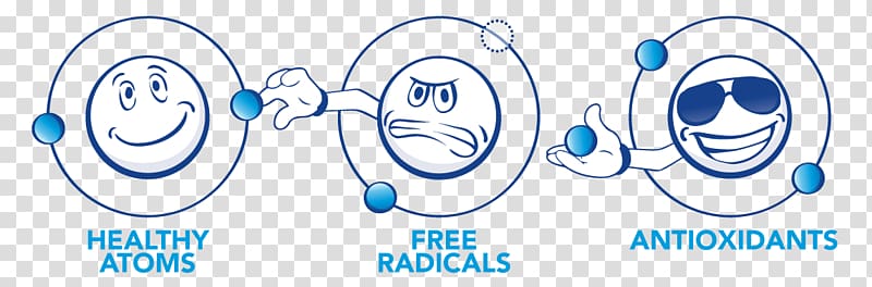 Free-radical theory of aging Antioxidant Chemical reaction Redox, Free Radical transparent background PNG clipart