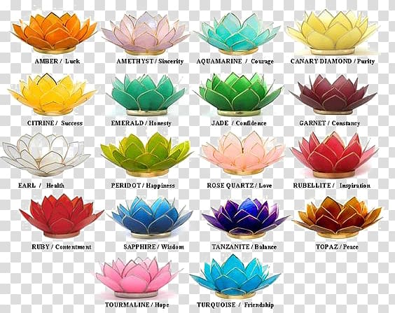 Nelumbo nucifera Color symbolism Flower Plant symbolism, lotus transparent background PNG clipart