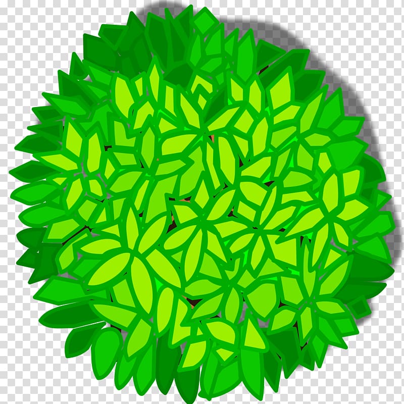 Tree , tree top view transparent background PNG clipart