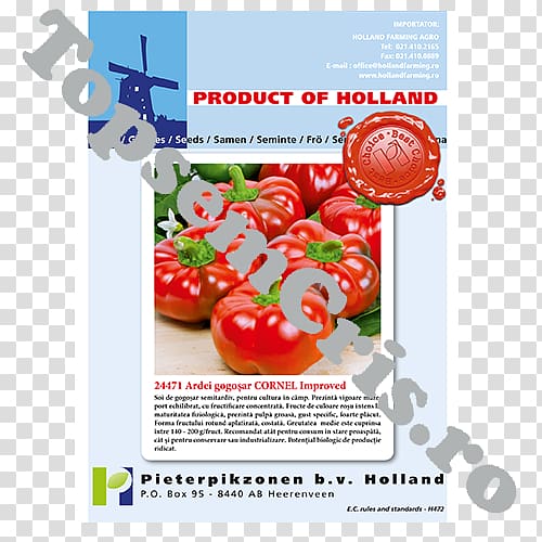 Tomato Local food Advertising Natural foods, tomato transparent background PNG clipart