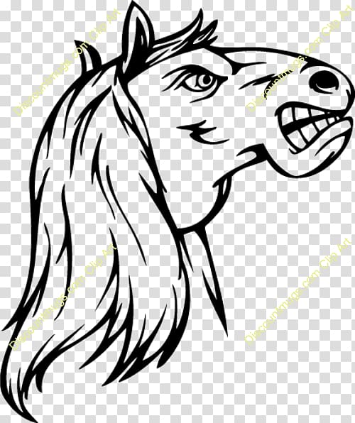 Mane Mustang Bridle Pack animal , horse face transparent background PNG clipart