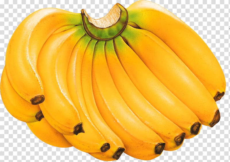 Cooking banana Fruit, Banana transparent background PNG clipart