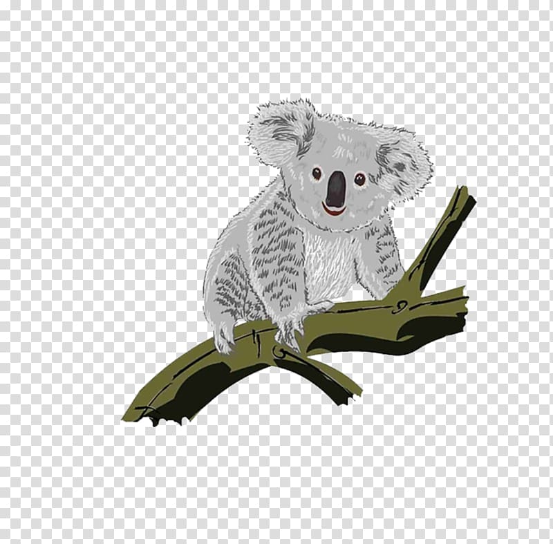 Koala , Koala climbing trees transparent background PNG clipart