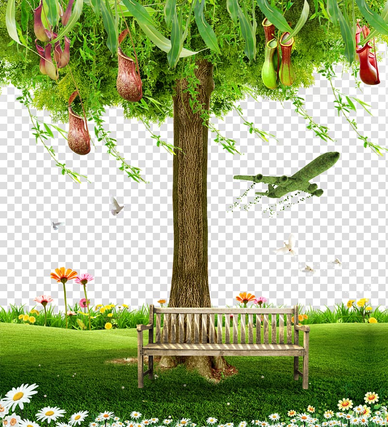 Chair Tree Computer file, Large trees chair transparent background PNG clipart