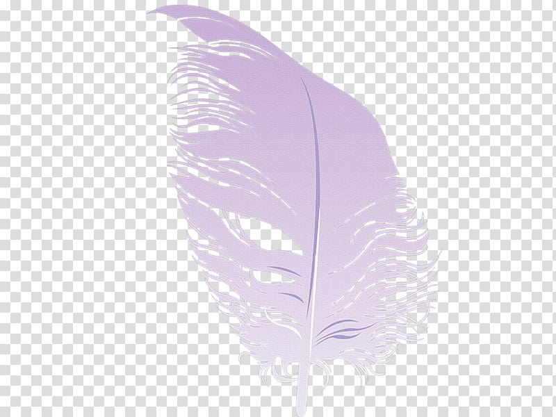 Feather, Plumas transparent background PNG clipart