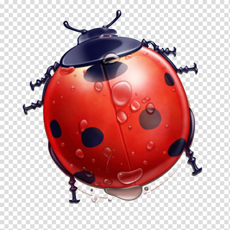 User interface Icon design Icon, Ladybug theme elements with water droplets transparent background PNG clipart