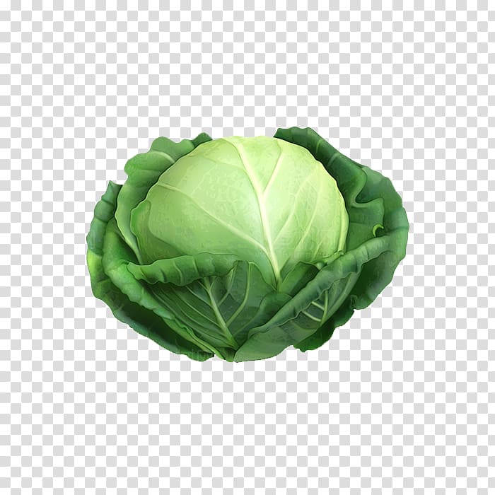 Cabbage Cauliflower Irish cuisine Vegetable, vegetable cabbage transparent background PNG clipart
