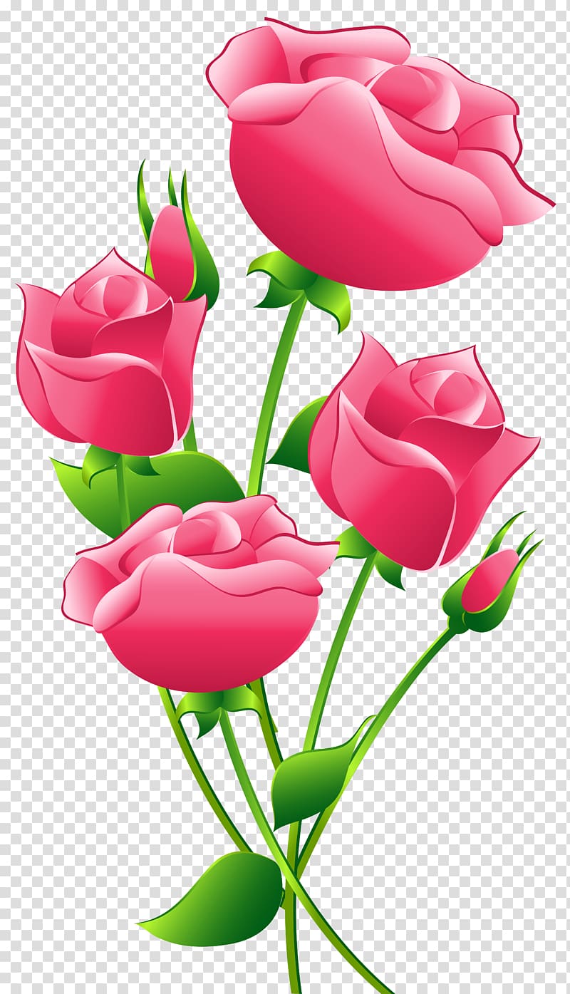 pink rose flower clip art