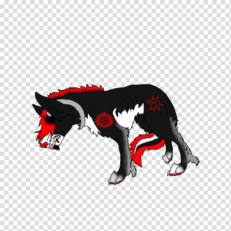 Dog Cat Canidae, take a walk transparent background PNG clipart