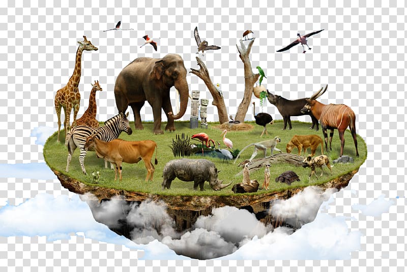brown elephant, Biodiversity Ecology Land use, land-use change, and forestry Animal Wildlife, The small island of the air transparent background PNG clipart