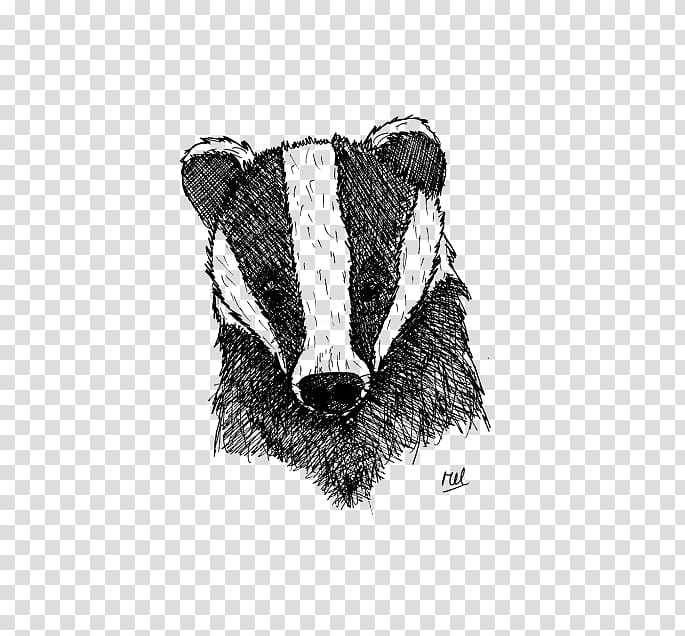 Badger Drawing /m/02csf Fur Font, others transparent background PNG clipart