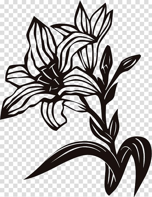 Locatelli S.r.l Flower Kamchatka fritillary Lilium , flower transparent background PNG clipart