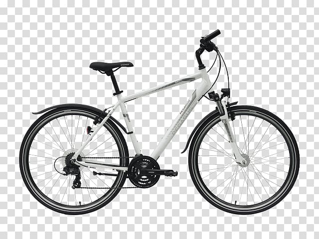Hybrid bicycle Giant Bicycles Mountain bike Single-speed bicycle, hercules pegasus transparent background PNG clipart