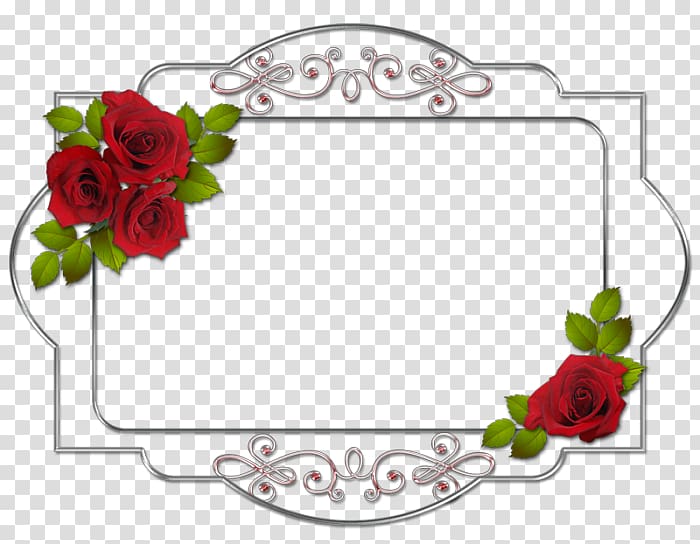 Garden roses Frames Red French rose , flower transparent background PNG clipart
