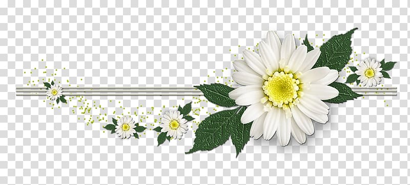 Flower, flower transparent background PNG clipart