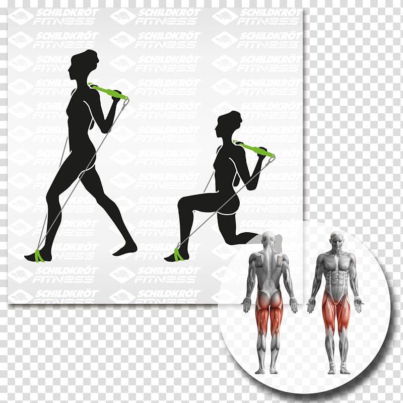 Human body Human anatomy Biofeedback Myofascial trigger point, others transparent background PNG clipart