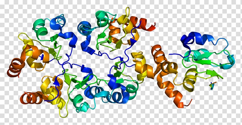 BIRC7 Gene Protein RING finger domain Microphthalmia-associated transcription factor, others transparent background PNG clipart