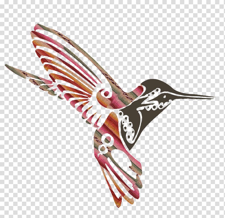 Hummingbird Drawing Painting, Hummingbird transparent background PNG clipart