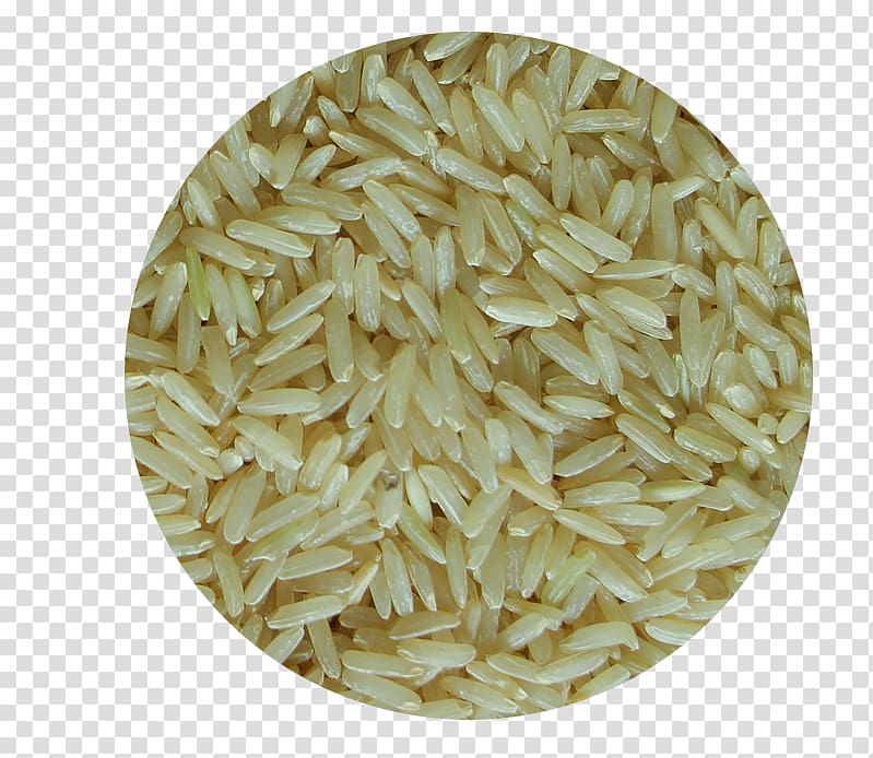 Basmati Brown rice Thai cuisine Rice cereal Cereal germ, rice transparent background PNG clipart