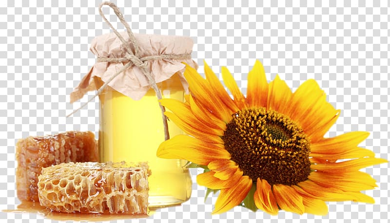 Honey bee Honeycomb Vegetarian cuisine, honey transparent background PNG clipart