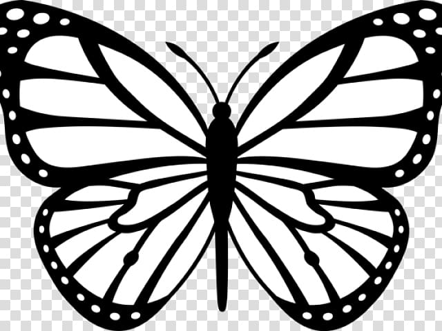 white and black butterfly , Monarch butterfly Black and white Drawing , Butterfly Drawings transparent background PNG clipart