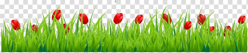 Wheatgrass Meadow Commodity Plant stem , Tulip transparent background PNG clipart