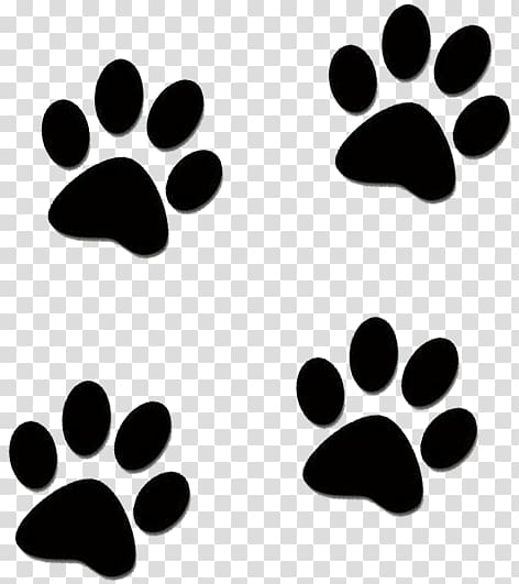 Akita Dachshund Kennel Filhote Pet, others transparent background PNG clipart