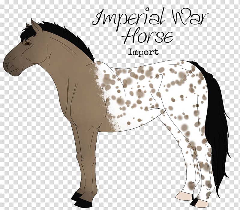 Stallion Mustang Pony Mare Mane, War Horse transparent background PNG clipart