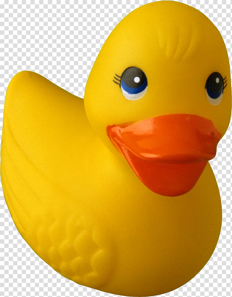 Rubber Ducky, Free Rubber duck debugging , duck transparent background PNG clipart