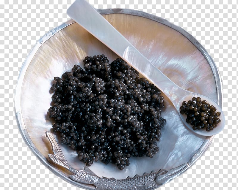 Sevruga caviar Starry sturgeon , methodology icon transparent background PNG clipart