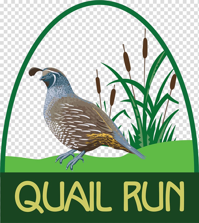 Richland Center Quail Run Golf Links Golf course County Highway Y, Quail transparent background PNG clipart