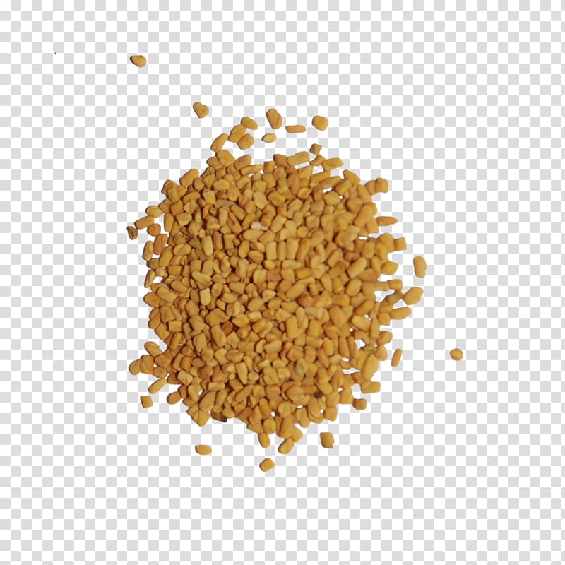 Indian cuisine Spice Seed Herb Fenugreek, spice transparent background PNG clipart