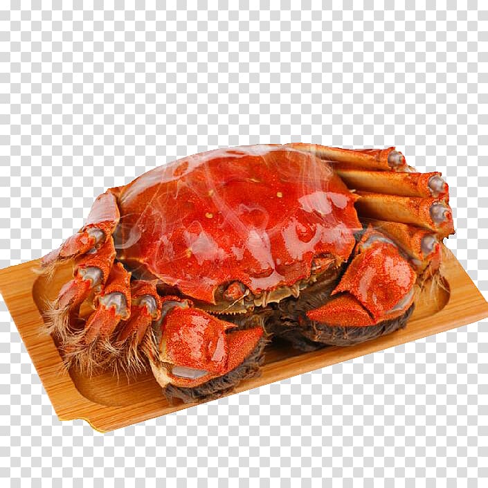 Yangcheng Lake large crab Yangchenghu Yangcheng Lake large crab Chinese mitten crab, Crabs transparent background PNG clipart