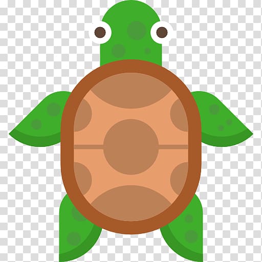 Turtle , turtle transparent background PNG clipart