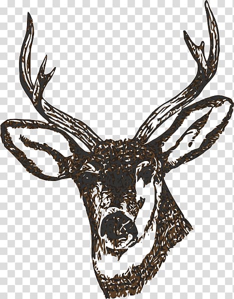 White-tailed deer , stag head transparent background PNG clipart