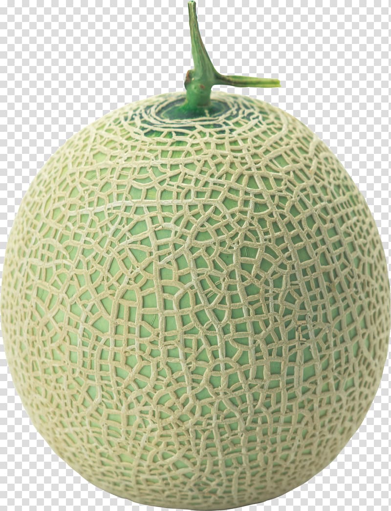 Watermelon Fruit Cantaloupe, Melon transparent background PNG clipart