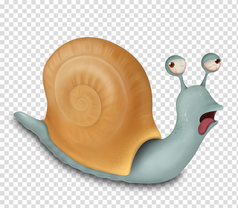 Snail Gastropods Invertebrate, Snail transparent background PNG clipart