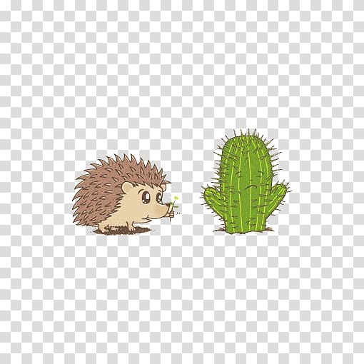 Hedgehog Illustration, Cartoon hedgehog transparent background PNG clipart