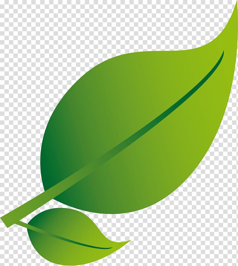 Google Brown Green, Fresh green leaves transparent background PNG clipart