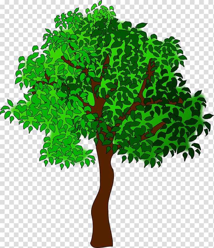 Open Tree Season , tree transparent background PNG clipart