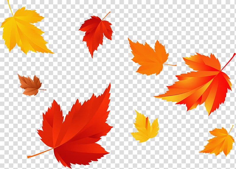 Autumn leaf color Season, fall season transparent background PNG clipart