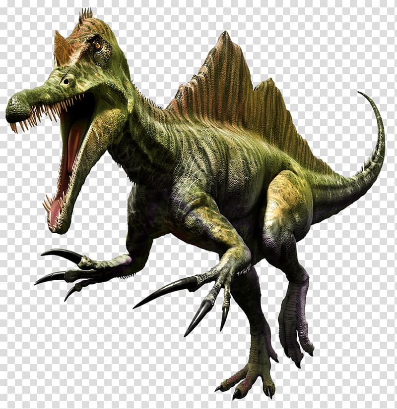 Spinosaurus Tyrannosaurus Dinosaur Portable Network Graphics , dinosaur transparent background PNG clipart