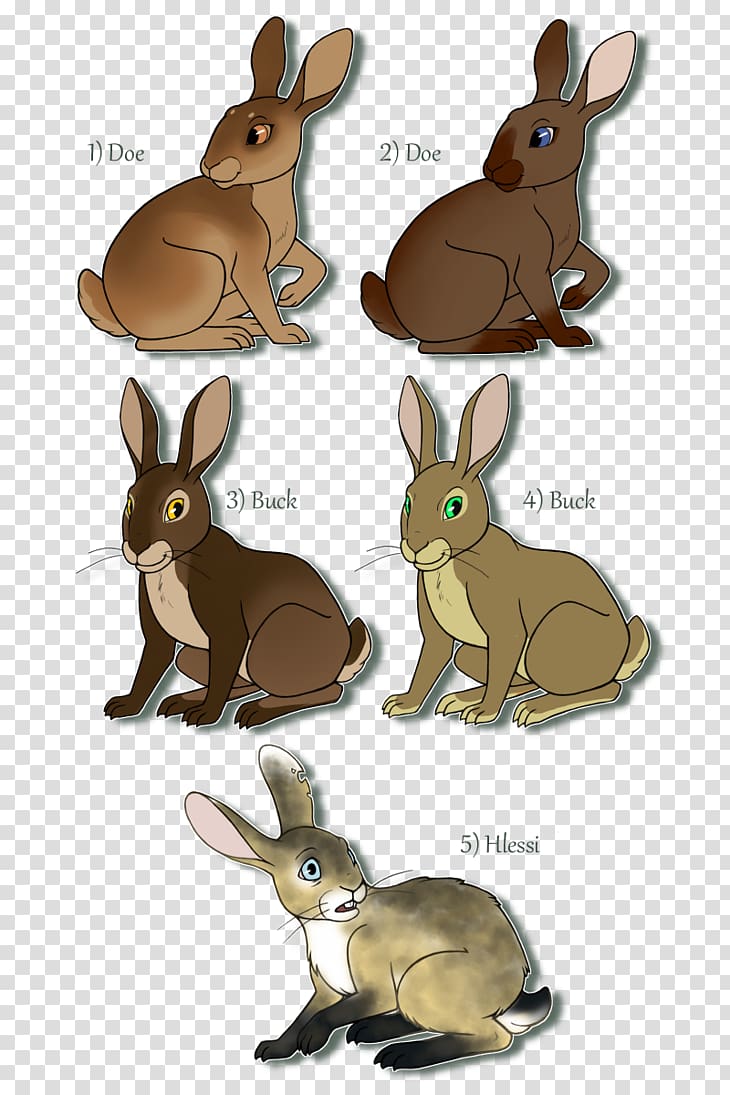 Domestic rabbit Watership Down Hare Child, watership down how to draw bunnies transparent background PNG clipart
