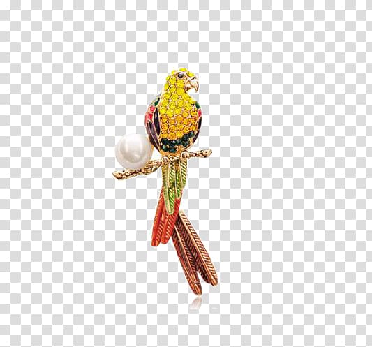 Used good Suit Man Fibula Clothing, Parrot brooch transparent background PNG clipart