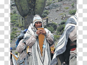 Outerwear Tree Adventure Film, tree transparent background PNG clipart thumbnail