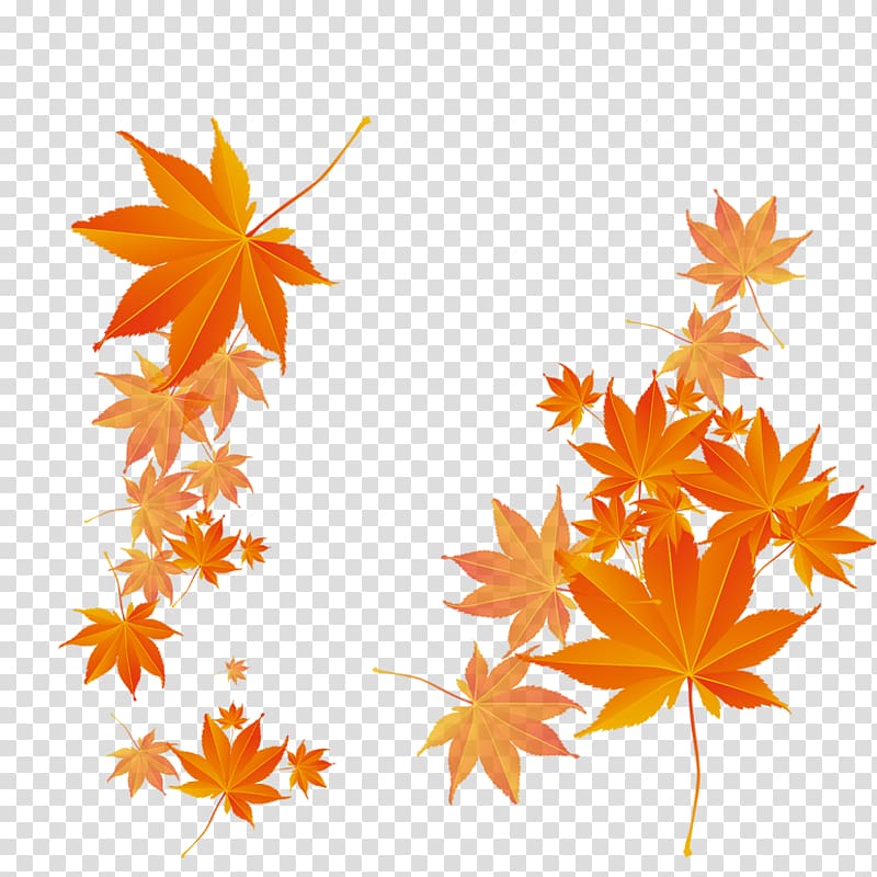 Maple leaf Autumn, Autumn leaves fluttering transparent background PNG clipart