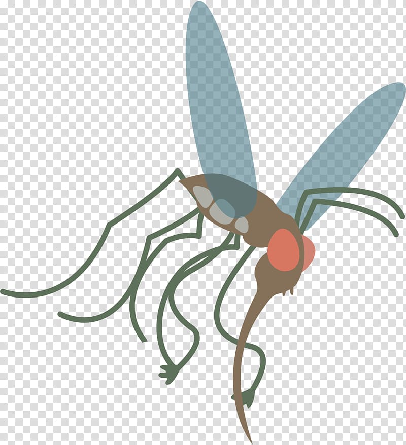 Mosquito Insect Aedes albopictus, mosquito transparent background PNG clipart
