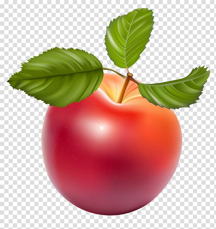 Apple , A red apple transparent background PNG clipart