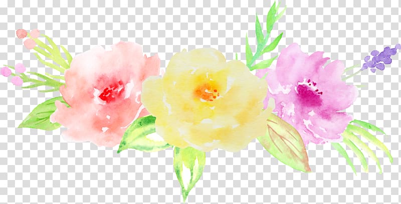 hand-painted watercolor roses decorative elements transparent background PNG clipart